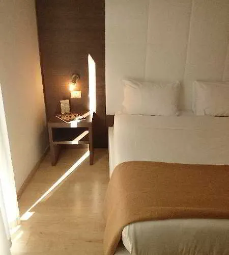 Hotel Ambassador-monaco 3*